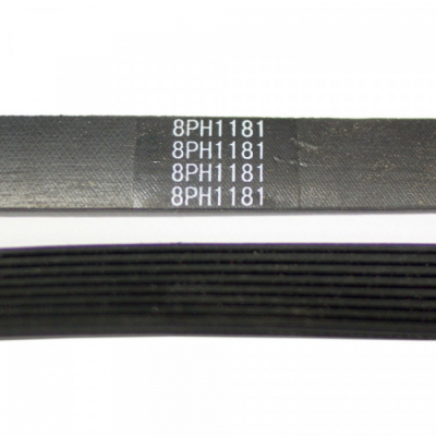 Ремень 1181 H8, L1120мм, черный