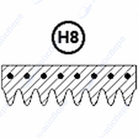 Ремень 1213 H8 Merloni 083910 1.11.000.75